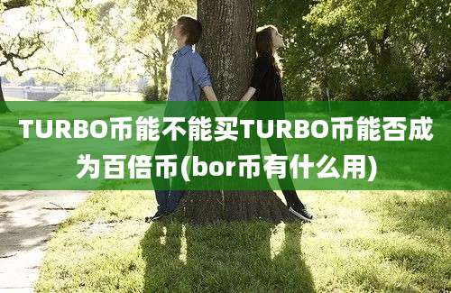 TURBO币能不能买TURBO币能否成为百倍币(bor币有什么用)