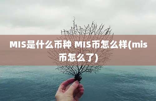 MIS是什么币种 MIS币怎么样(mis币怎么了)