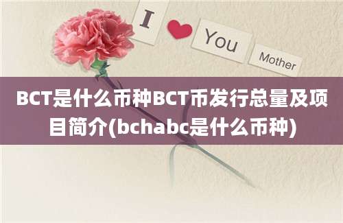 BCT是什么币种BCT币发行总量及项目简介(bchabc是什么币种)