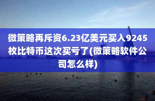 微策略再斥资6.23亿美元买入9245枚比特币这次买亏了(微策略软件公司怎么样)