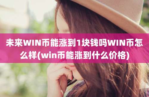 未来WIN币能涨到1块钱吗WIN币怎么样(win币能涨到什么价格)