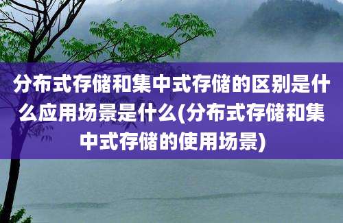 分布式存储和集中式存储的区别是什么应用场景是什么(分布式存储和集中式存储的使用场景)