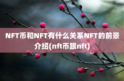 NFT币和NFT有什么关系NFT的前景介绍(nft币跟nft)