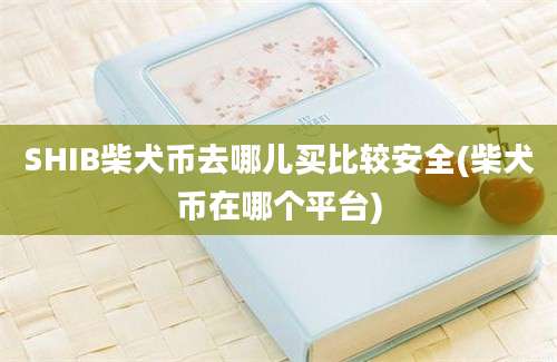 SHIB柴犬币去哪儿买比较安全(柴犬币在哪个平台)