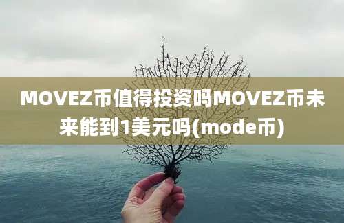 MOVEZ币值得投资吗MOVEZ币未来能到1美元吗(mode币)