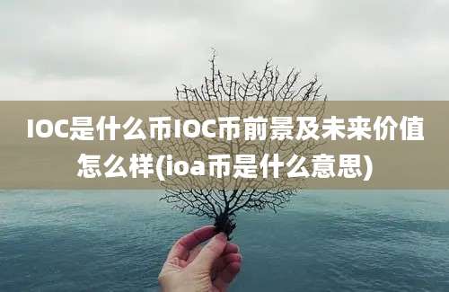 IOC是什么币IOC币前景及未来价值怎么样(ioa币是什么意思)