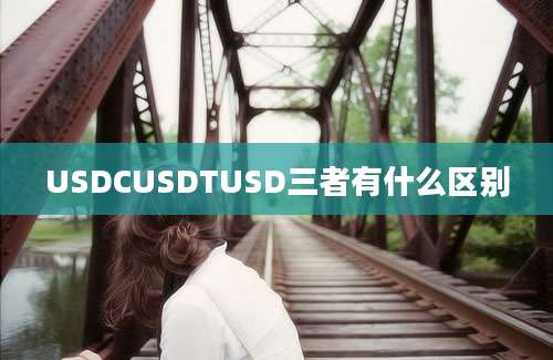 USDCUSDTUSD三者有什么区别