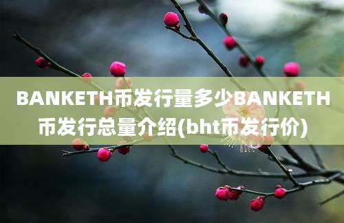 BANKETH币发行量多少BANKETH币发行总量介绍(bht币发行价)