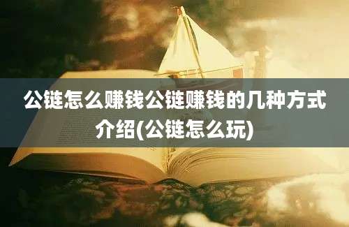 公链怎么赚钱公链赚钱的几种方式介绍(公链怎么玩)