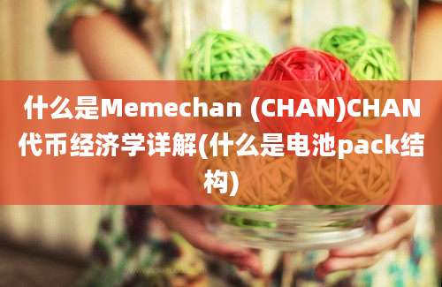 什么是Memechan (CHAN)CHAN代币经济学详解(什么是电池pack结构)