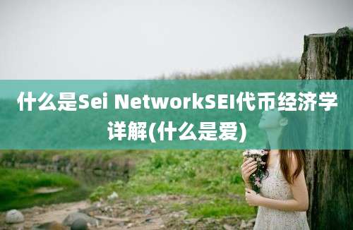 什么是Sei NetworkSEI代币经济学详解(什么是爱)