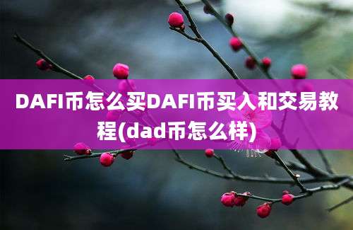 DAFI币怎么买DAFI币买入和交易教程(dad币怎么样)