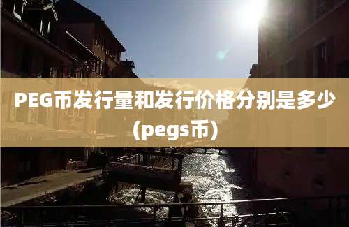 PEG币发行量和发行价格分别是多少(pegs币)