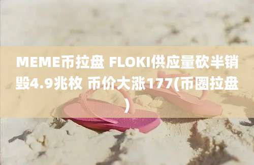 MEME币拉盘 FLOKI供应量砍半销毁4.9兆枚 币价大涨177(币圈拉盘)