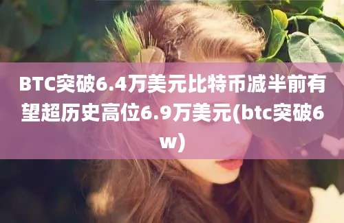 BTC突破6.4万美元比特币减半前有望超历史高位6.9万美元(btc突破6w)