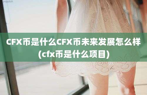 CFX币是什么CFX币未来发展怎么样(cfx币是什么项目)