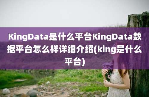 KingData是什么平台KingData数据平台怎么样详细介绍(king是什么平台)