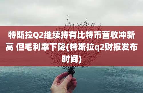 特斯拉Q2继续持有比特币营收冲新高 但毛利率下降(特斯拉q2财报发布时间)