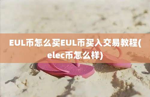 EUL币怎么买EUL币买入交易教程(elec币怎么样)