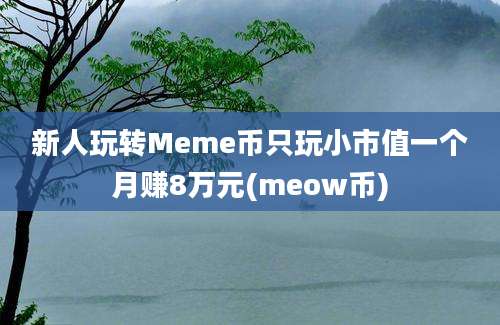 新人玩转Meme币只玩小市值一个月赚8万元(meow币)