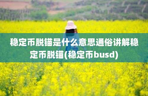 稳定币脱锚是什么意思通俗讲解稳定币脱锚(稳定币busd)