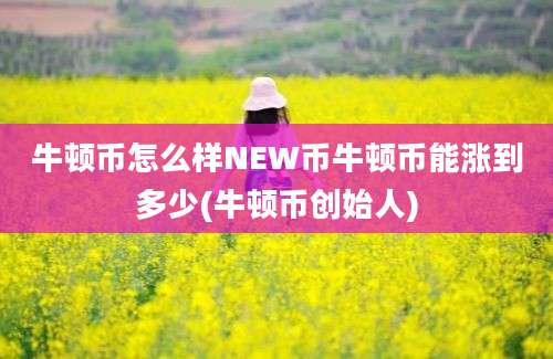 牛顿币怎么样NEW币牛顿币能涨到多少(牛顿币创始人)