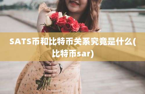 SATS币和比特币关系究竟是什么(比特币sar)