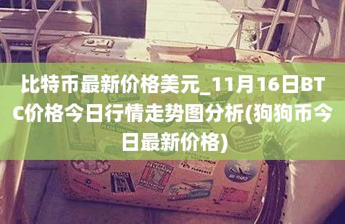 比特币最新价格美元_11月16日BTC价格今日行情走势图分析(狗狗币今日最新价格)