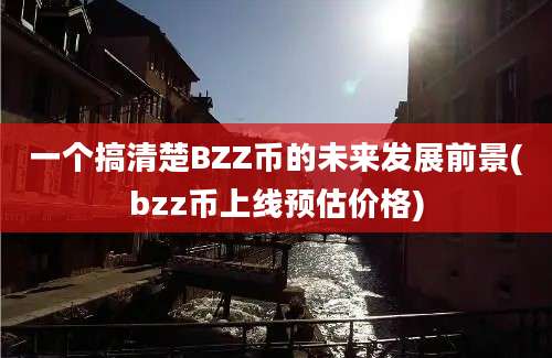 一个搞清楚BZZ币的未来发展前景(bzz币上线预估价格)