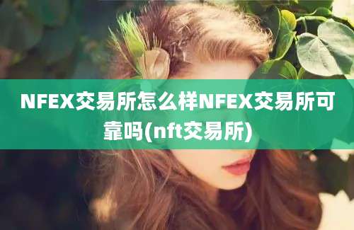 NFEX交易所怎么样NFEX交易所可靠吗(nft交易所)