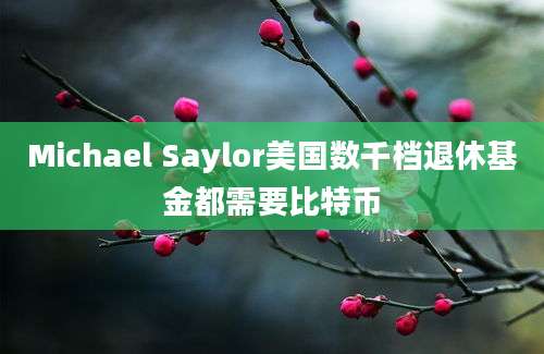 Michael Saylor美国数千档退休基金都需要比特币