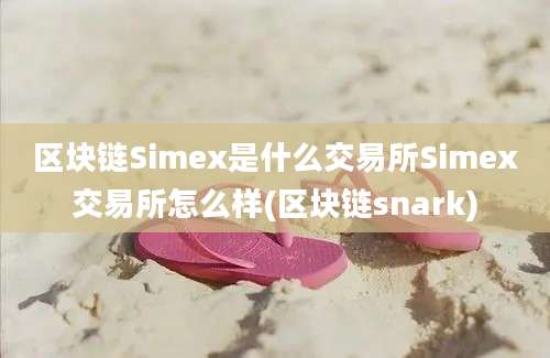 区块链Simex是什么交易所Simex交易所怎么样(区块链snark)