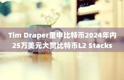 Tim Draper重申比特币2024年内25万美元大赞比特币L2 Stacks