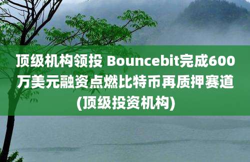 顶级机构领投 Bouncebit完成600万美元融资点燃比特币再质押赛道(顶级投资机构)