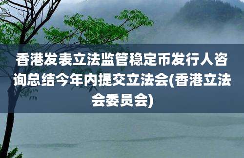 香港发表立法监管稳定币发行人咨询总结今年内提交立法会(香港立法会委员会)