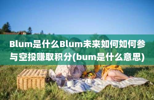 Blum是什么Blum未来如何如何参与空投赚取积分(bum是什么意思)