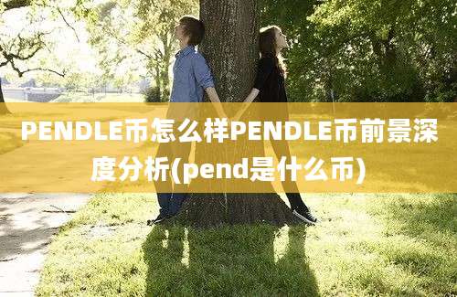 PENDLE币怎么样PENDLE币前景深度分析(pend是什么币)