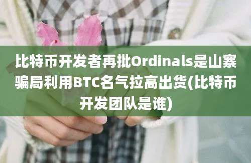 比特币开发者再批Ordinals是山寨骗局利用BTC名气拉高出货(比特币开发团队是谁)