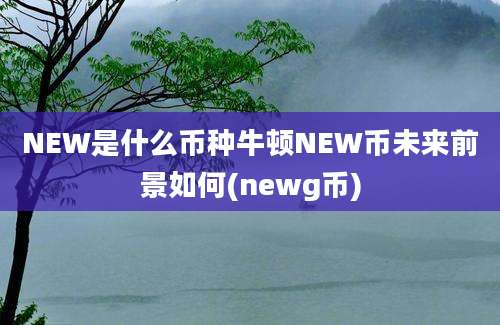 NEW是什么币种牛顿NEW币未来前景如何(newg币)