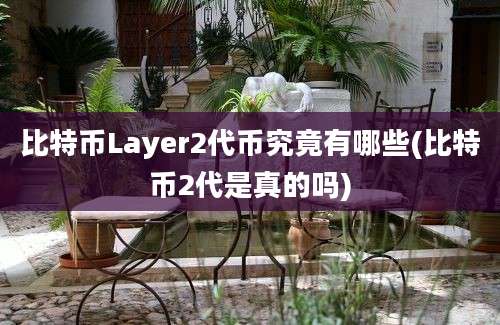 比特币Layer2代币究竟有哪些(比特币2代是真的吗)