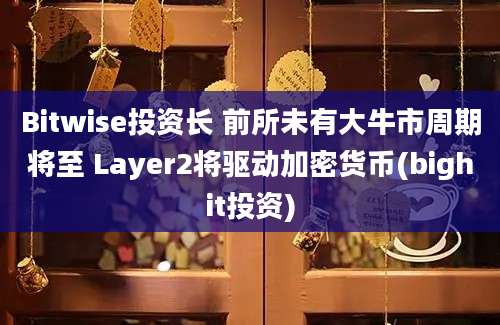 Bitwise投资长 前所未有大牛市周期将至 Layer2将驱动加密货币(bighit投资)