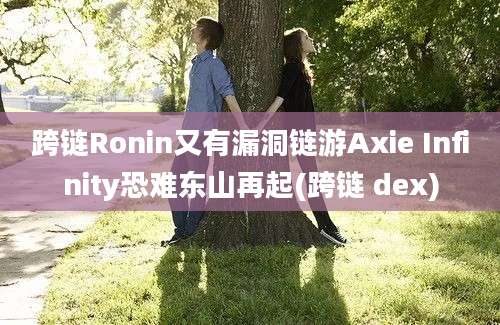 跨链Ronin又有漏洞链游Axie Infinity恐难东山再起(跨链 dex)