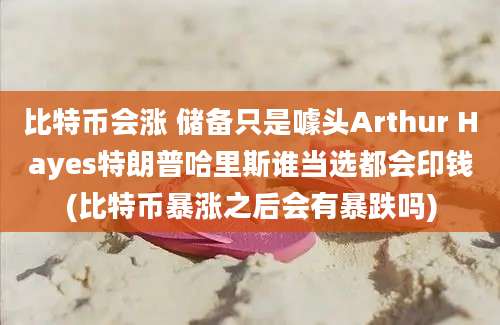 比特币会涨 储备只是噱头Arthur Hayes特朗普哈里斯谁当选都会印钱(比特币暴涨之后会有暴跌吗)