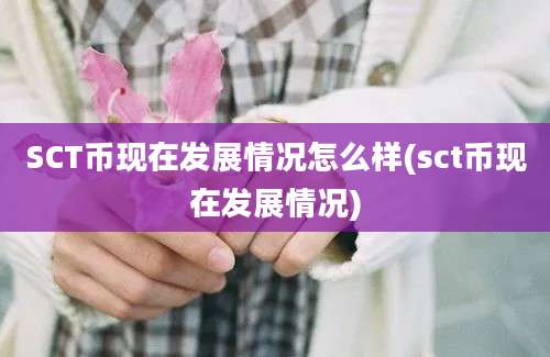 SCT币现在发展情况怎么样(sct币现在发展情况)