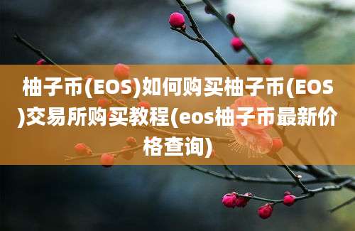 柚子币(EOS)如何购买柚子币(EOS)交易所购买教程(eos柚子币最新价格查询)