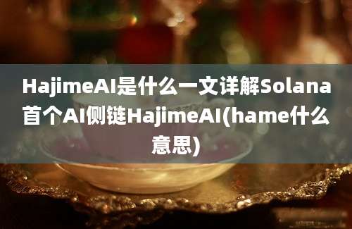 HajimeAI是什么一文详解Solana首个AI侧链HajimeAI(hame什么意思)