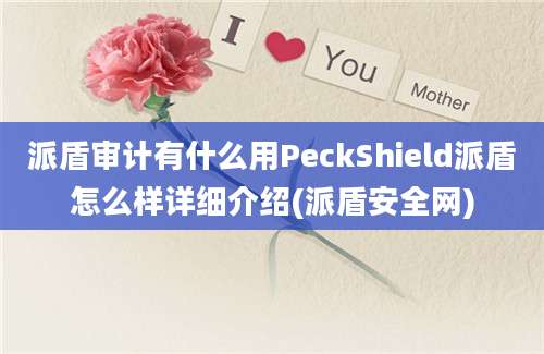 派盾审计有什么用PeckShield派盾怎么样详细介绍(派盾安全网)