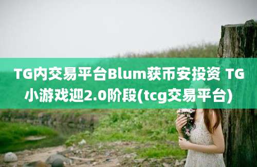 TG内交易平台Blum获币安投资 TG小游戏迎2.0阶段(tcg交易平台)