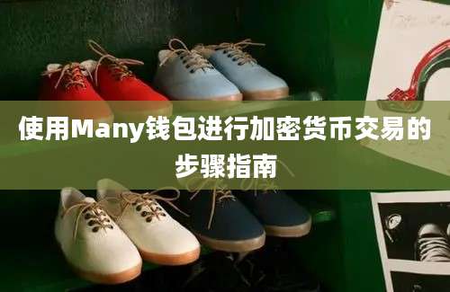 使用Many钱包进行加密货币交易的步骤指南