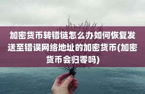 加密货币转错链怎么办如何恢复发送至错误网络地址的加密货币(加密货币会归零吗)